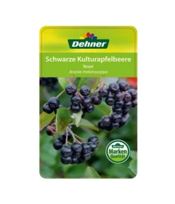 Apfelbeere, Aronia 'Aron' -Pflanzen Promotion Geschäft 00000000 Aronia melanocarpa Aron 2016 1