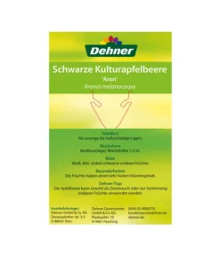 Apfelbeere, Aronia 'Aron' -Pflanzen Promotion Geschäft 00000000 Aronia melanocarpa Aron 2016 2