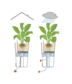 LECHUZA® CUBICO Color, All-in-One-Set 11 LECHUZA® CUBICO Color, All-in-One-Set -Pflanzen Promotion Geschäft 001 InOutdoorLechuza 1