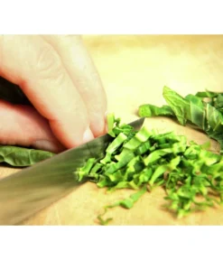 Wasabi -Pflanzen Promotion Geschäft 20120718 WE MO 003 Wasabi Gs Detail Blaetter schneiden