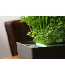 GREENBAR® Kräuterkasten, Ca. B48/H15,5/T16 Cm 18 GREENBAR® Kräuterkasten, Ca. B48/H15,5/T16 Cm -Pflanzen Promotion Geschäft 20150713 350 greenbar fuellanzeiger studio herzig