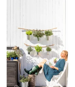 Dehner Gourmet Garten Zitronenmelisse -Pflanzen Promotion Geschäft 20181011 PR MO 003 Kraeuter 01