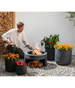 Goldmarie, Orange -Pflanzen Promotion Geschäft 20210610 8810020 8832966 WE MO 001 BidensOrangeT12 GC09 2022 02