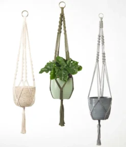 Dehner Makramee-Ampel -Pflanzen Promotion Geschäft 2061968 4409132 WE MO 002 AmpelMakramee