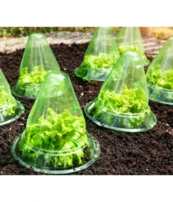 Windhager Pflanzenhut, Ø24 Cm, 10 Stk. -Pflanzen Promotion Geschäft 2062289 WE MO 001 WindhagerPflanzenhut