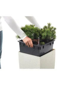 Dehner Kunststoff-Flechttopf Dallas, Quadratisch -Pflanzen Promotion Geschäft 2460020 WE DE 001 EmsaKunststofftopf36x36cmweiss