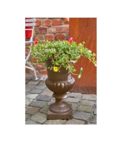 Esschert Design Französische Pflanzvase Aus Gusseisen, Dunkelbraun -Pflanzen Promotion Geschäft 2542637 WE MO 003 FranzoesischeVaseausGusseisenrostfarbenVaseBlumenvaseTopfBlumentopfPflanzvasePflanztopfPflanzgefaess