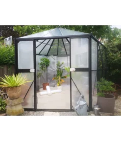 Dehner Pflanzen-Isolierfolie -Pflanzen Promotion Geschäft 2590727 1007400 WE MO 003 DehnerPflanzenIsolierfolie