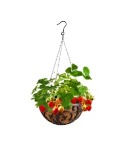 Dehner Gusseisen-Hängeampel Katalonien Mit Kokoseinlage, Rund, Rost, Ca. Ø30/H15 Cm -Pflanzen Promotion Geschäft 2745461 WE MO 001 GusseisenHaengeampel30cm