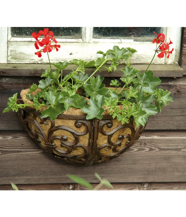 Dehner Gusseisen-Wandtopf, Ca. B29,5/H16,2/T16,2 Cm, Halbrund 2 Dehner Gusseisen-Wandtopf, Ca. B29,5/H16,2/T16,2 Cm, Halbrund – Bild 2