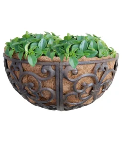Dehner Gusseisen-Wandtopf, Ca. B29,5/H16,2/T16,2 Cm, Halbrund 5 Dehner Gusseisen-Wandtopf, Ca. B29,5/H16,2/T16,2 Cm, Halbrund -Pflanzen Promotion Geschäft 2745479 BildM 002 EsschertDesignWandtopfWandkorb35Cm