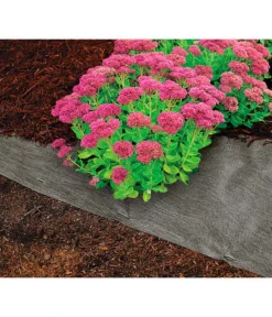 Dehner Rindenmulch-Unterlage, Ca. L300/B200 Cm -Pflanzen Promotion Geschäft 3079696 WE MO 004 RindenmulchUnterlageMulchunterlageWurzelsperre