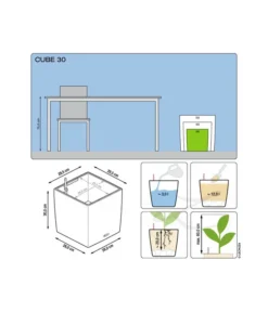 LECHUZA® CUBE, All-in-One Set -Pflanzen Promotion Geschäft 3179884 3180098 3180056 3180064 3179850 3174497 WE DE 001 CubePremium30