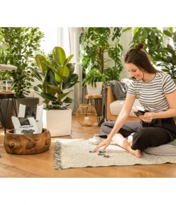 LECHUZA® PON Pflanzensubstrat -Pflanzen Promotion Geschäft 3679685 4191144 4191342 3634003 WE MO 004 LechuzaPONNeu n