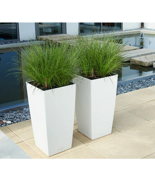 LECHUZA® CUBICO Color, All-in-One-Set 3 LECHUZA® CUBICO Color, All-in-One-Set – Bild 3