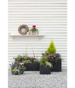 Dehner Kunststoff-Blumenkübel Palermo, Anthrazit -Pflanzen Promotion Geschäft 3728110 3728151 3940756 WE MO 006 KunststoffBlumenkuebelKubusanthrazitBlumentopf