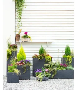 Dehner Kunststoff-Blumenkübel Palermo, Anthrazit -Pflanzen Promotion Geschäft 3728110 3940764 3693611 WE MO 001 KunststoffPflanzkastenKubus