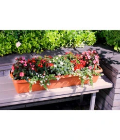 Geli Kunststoff-Blumenkasten Aqua Andalucia -Pflanzen Promotion Geschäft 3955739 WE MO 002 GeliKunststoffBlumenkastenAquaAndaluciamitLangzeitbewaesseungssystem