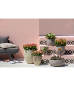 Dehner Leichtbeton-Schale Balloon Stone, Grau -Pflanzen Promotion Geschäft 4058046 4058087 4057972 WE MO 005 DehnerLeichtbetonTopfBalloon