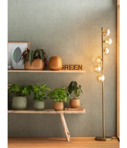 Korbmarante - Calathea Mosaica -Pflanzen Promotion Geschäft 4073847 PR MO 001 JardiniereTopfVaseSafirGelbGruen 4077731 4069274 4072542 4092896