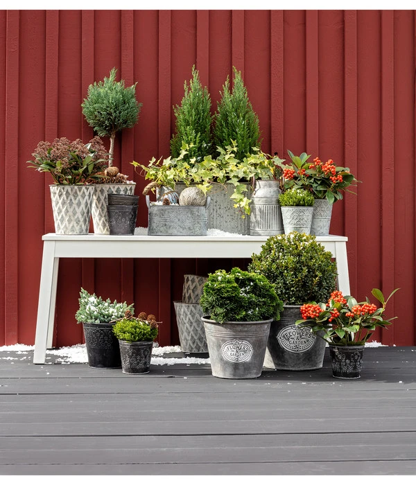 Dehner Zinkschale Mit Henkel 2 Dehner Zinkschale Mit Henkel – Bild 2