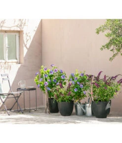 Artstone Kunststoff-Topf Bola -Pflanzen Promotion Geschäft 4086088 4086096 4086104 4086112 WE MO 006 KunststoffTopfBolarundschwarz