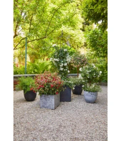 Artstone Kunststoff-Topf Bola -Pflanzen Promotion Geschäft 4086096 4086088 4086104 4086112 WE MO 002 KunststoffTopfBolaschwarz