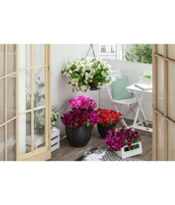 Artstone Kunststoff-Topf Bola -Pflanzen Promotion Geschäft 4086096 4086088 4086104 4086112 WE MO 005 ArtstoneKunststoffTopfBolaschwarz