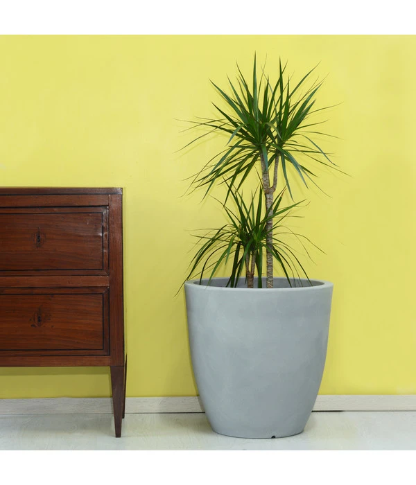 Farmet Kunststoff-Topf-Set Orione Alto, Rund, Grau, 2-teilig 3 Farmet Kunststoff-Topf-Set Orione Alto, Rund, Grau, 2-teilig – Bild 3