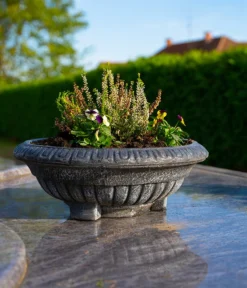 Roto Kunststoff-Pflanzschale Ballett, Rund, Bronze, Ca. Ø50/H18,5 Cm 5 Roto Kunststoff-Pflanzschale Ballett, Rund, Bronze, Ca. Ø50/H18,5 Cm -Pflanzen Promotion Geschäft 4142303 WE MO 002 RotoSchaleBallett