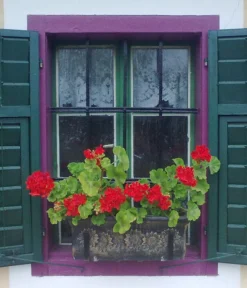 Roto Kunststoff-Pflanzkasten Planika, Rechteckig, Dunkelgrau, Ca. B49,5/H18,5/T20,5 Cm 5 Roto Kunststoff-Pflanzkasten Planika, Rechteckig, Dunkelgrau, Ca. B49,5/H18,5/T20,5 Cm -Pflanzen Promotion Geschäft 4145769 WE MO 002 RotoKastenPlanika