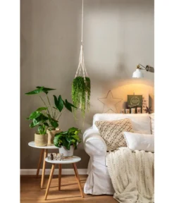 Dehner Makramee-Ampel -Pflanzen Promotion Geschäft 4152484 PR MO 001 TopfFreshBraunGrau 4408951 4408977 4408985 4409132