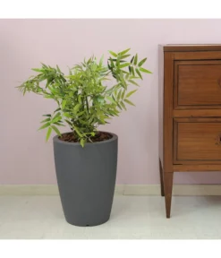 Farmet Kunststoff-Topf-Set Hydra, Konisch, Anthrazit, 2-teilig -Pflanzen Promotion Geschäft 4183653 WE DE 002 HYDRARunderPflanzkuebelDurchmesser36cm50cmhochDUNKELANTHRAZIT