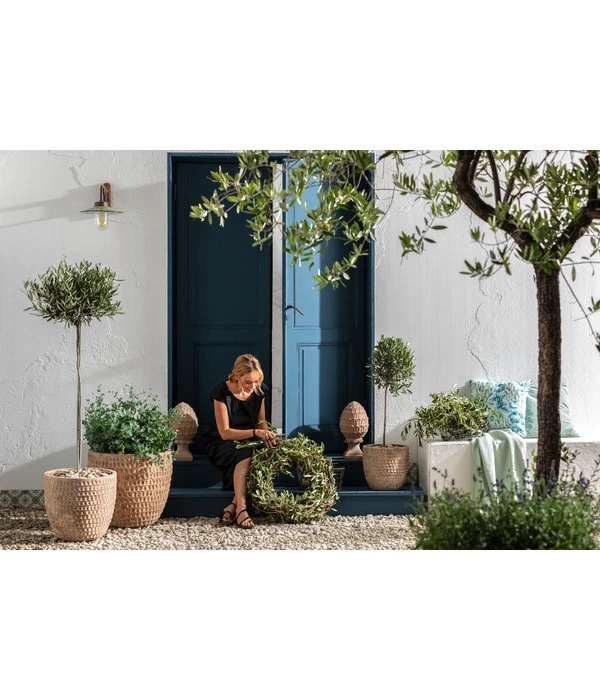 Dehner Terrakotta-Topf Adria, Rund, Antik-terrakotta 2 Dehner Terrakotta-Topf Adria, Rund, Antik-terrakotta – Bild 2