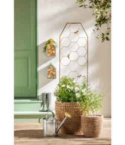 Dehner Terrakotta-Topf Adria, Rund, Antik-terrakotta 11 Dehner Terrakotta-Topf Adria, Rund, Antik-terrakotta -Pflanzen Promotion Geschäft 4272530 WE MO 005 DehnerTerrakottaTopfterrakottaantik