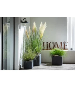 Dehner Kunststoff-Blumenkübel Palermo, Anthrazit -Pflanzen Promotion Geschäft 4292165 WE MO 001 FerrumMetallBuchstabenSetHOMEcaB30H35T14cm