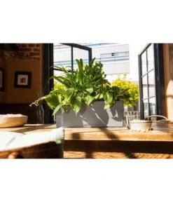 LECHUZA® Kunststoff-Kasten Balconera Stone -Pflanzen Promotion Geschäft 4318606 WE MO 001 LechuzaKunststoffBalkonkastenBalconeraStonePflanzkastenBlumenkasten