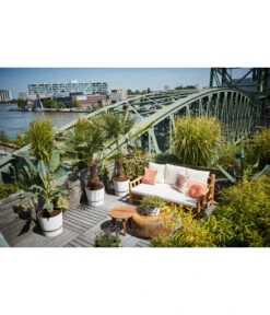 Elho Kunststoff-Topf Greenville -Pflanzen Promotion Geschäft 4474318 4474342 WE MO 003 elhoKunststoffTopfGreenville