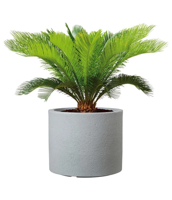 Scheurich Kunststoff-Topf Riva, Rund 2 Scheurich Kunststoff-Topf Riva, Rund – Bild 2