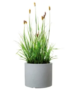 Scheurich Kunststoff-Topf Riva, Rund 11 Scheurich Kunststoff-Topf Riva, Rund -Pflanzen Promotion Geschäft 4498838 WE FS 003 ScheurichKunststoffTopfRivarund