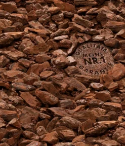 COMPO SANA® Orchideenerde, 5 L -Pflanzen Promotion Geschäft 455451 WE DE 003 COMPOSANAOrchideenerde5l