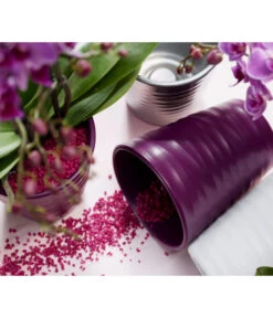 Dehner Keramik-Übertopf Wave, Konisch -Pflanzen Promotion Geschäft 5014188 PR MO 001 OrchideenUebertopfWavePflaume