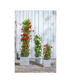 Dehner Leichtbeton-Topf Rock, Quadratisch, Grau -Pflanzen Promotion Geschäft 5157524 5157532 5157540 5157557 WE MO 002 DehnerLeichtbetonTopfRockPflanzkuebelBlumentopf