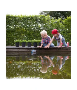 Artstone Kunststoff-Blumentopf Claire, Rund -Pflanzen Promotion Geschäft 5160395 WE MO 002 KunststoffTopfClaireschwarz