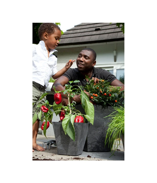 Artstone Kunststoff-Topf Ella 2 Artstone Kunststoff-Topf Ella – Bild 2