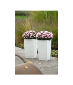 Dehner Kunststoff-Flechttopf Dallas, Quadratisch -Pflanzen Promotion Geschäft 5336508 WE MO 002 KunststoffFlechttopf30x30cmWeissDehnerLiving