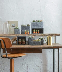 Dehner Zement-Jardiniere Slate, Rechteckig, Grau -Pflanzen Promotion Geschäft 5338900 WE MO 001 SerieSlateGrau 5338918 5056221 5056155 384281