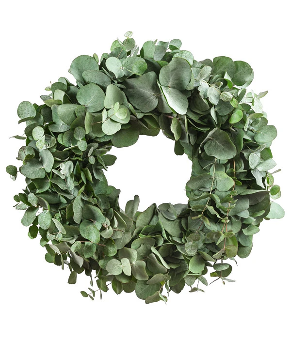 Dehner Kranz Eukalyptus, Grün, Ca. Ø40 Cm 1 Dehner Kranz Eukalyptus, Grün, Ca. Ø40 Cm