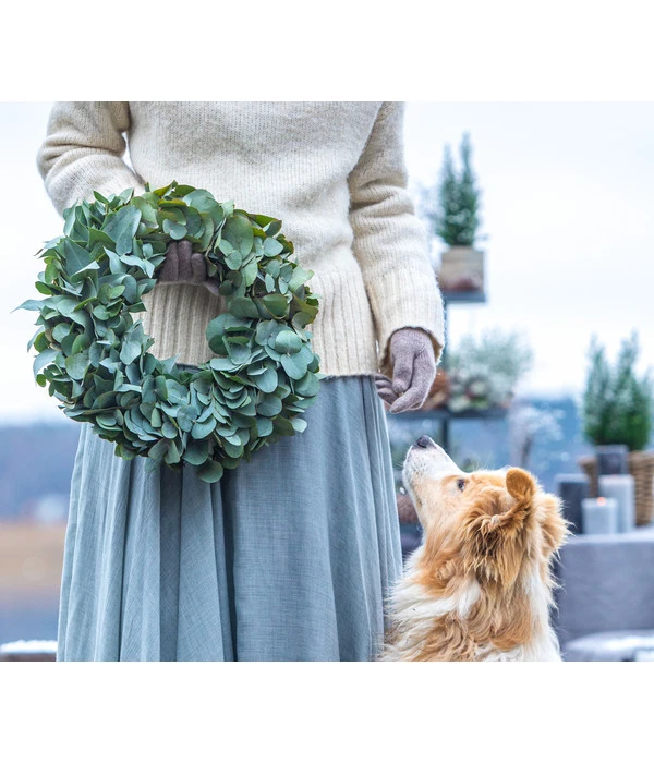 Dehner Kranz Eukalyptus, Grün, Ca. Ø40 Cm 3 Dehner Kranz Eukalyptus, Grün, Ca. Ø40 Cm – Bild 3