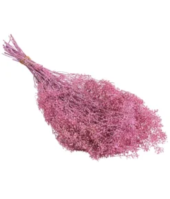 Trockenblumenbund Lupidium, Hellrosa